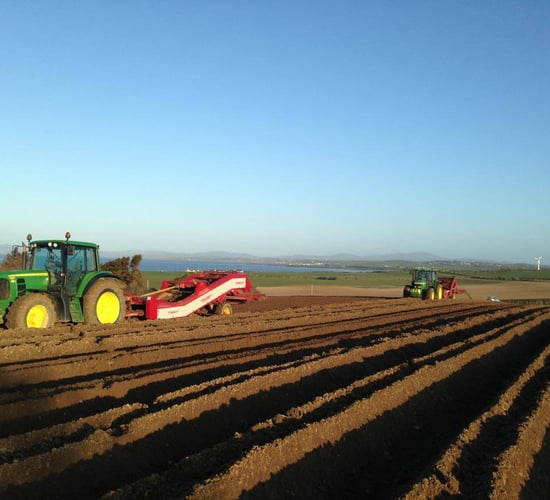 Agri-food Brexit impact: 'Even printer ink was taking 6 weeks'