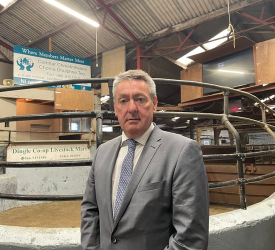 Ireland needs 'national anaerobic digestion' programme - Kelleher