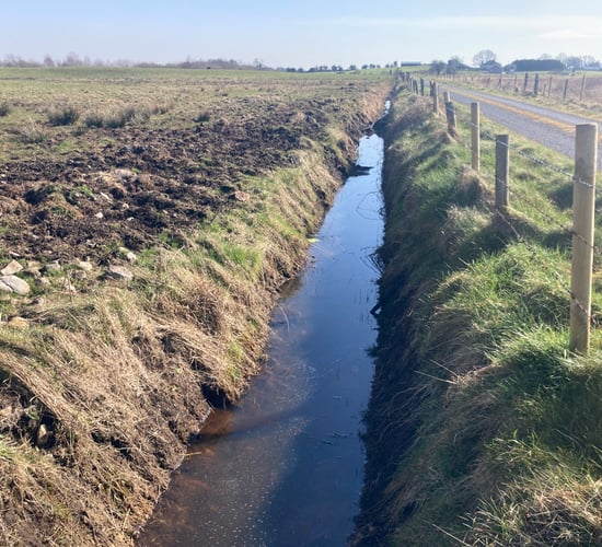 Farming on peat competition launched for young people