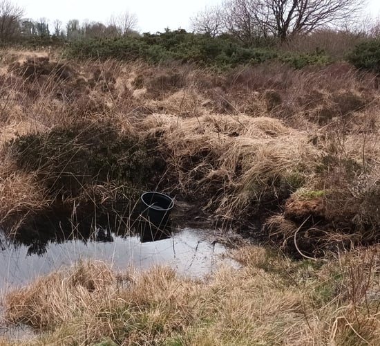 Midlands project supports farmers rewetting peat soils