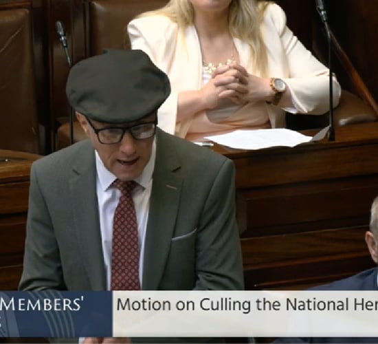 Healy-Rae: Ireland is 'better at farming than anyone else'