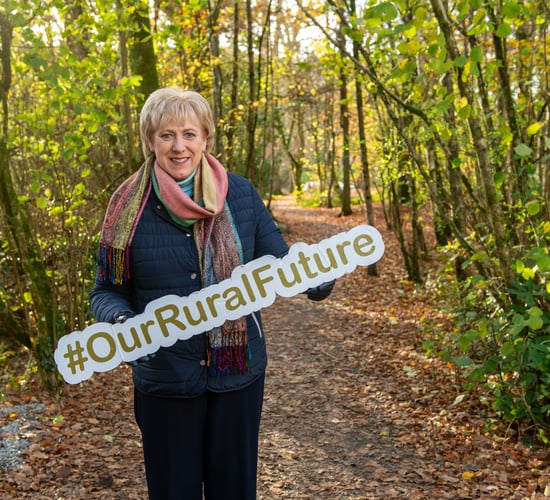 Coillte gets €3m to develop forests & facilities