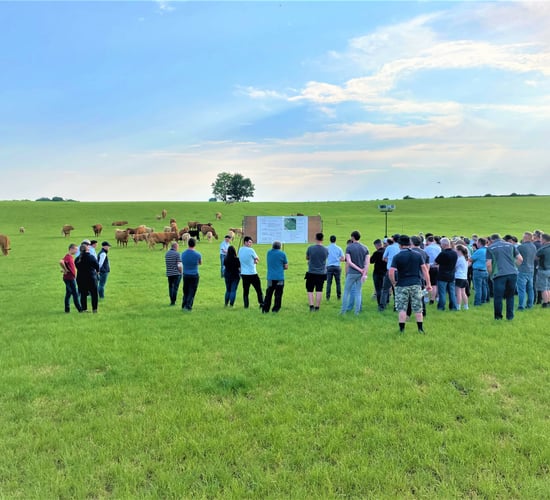 Suckler beef sector dilemma highlighted at IGA farm walk