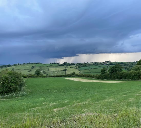 May was warmest on record in Ireland - Met Éireann