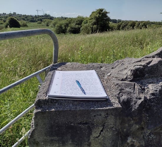 Submissions sought for Best in Rural Writing contest