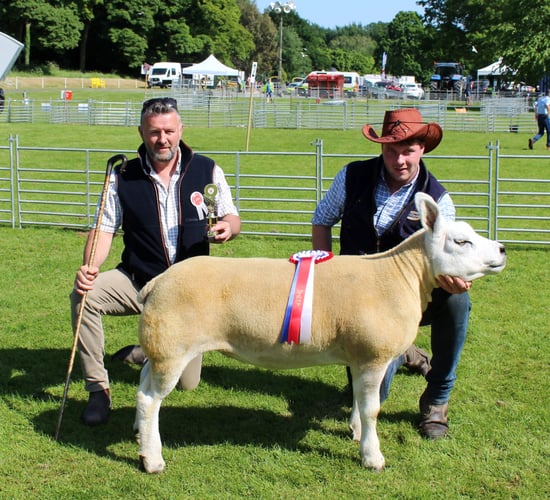 Lurgan Show: Texel shearling ewe takes inter-breed prize