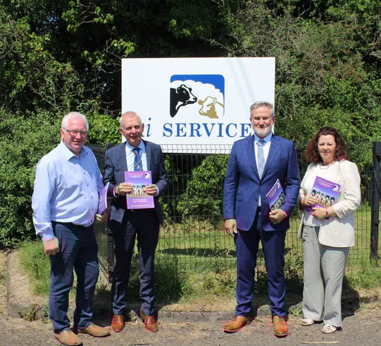 Sexed straws a real driver for cattle breeding in Northern Ireland
