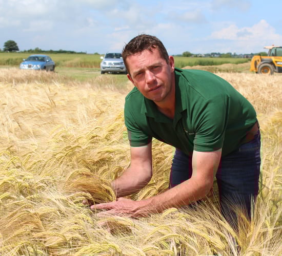 Tillage: Take-all impacting winter barley yields in north-east