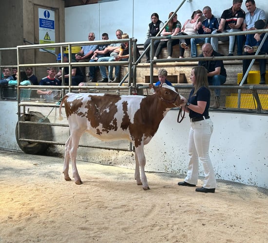 8,000gns achieved at Promise of Protein sale