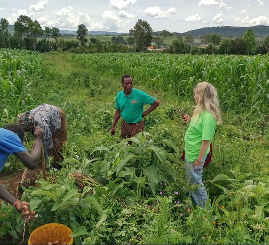 Kenya trip converts Cork city girl to farming