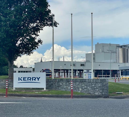 Adding value to milk is future for sector - Kerry Dairy Ireland CEO