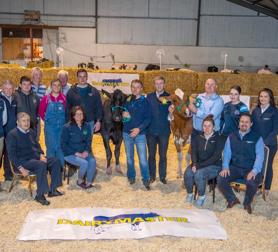 Kerry Holstein Friesian Breeders launch herds competition