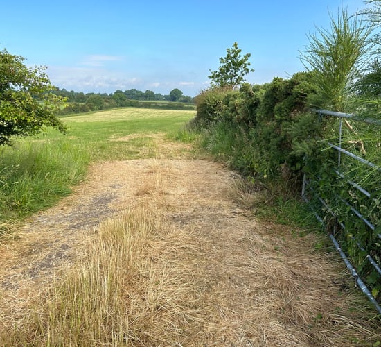 Commission wants to hear farmers' views on nature restoration