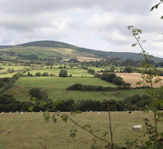 Ireland's reporting of grassland emissions of 'lower quality'