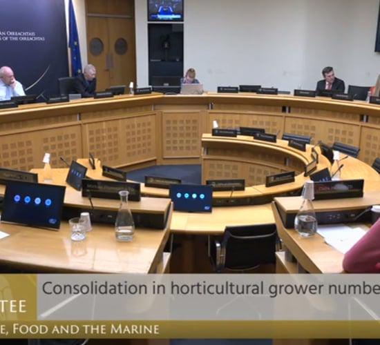 Labour shortages 'major issue' in horticulture - ag committee