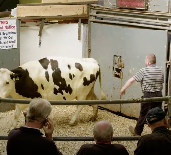 Farmers views on rewetting at Delvin mart