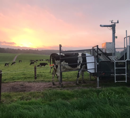 Science of dairy to feature at Moorepark open day