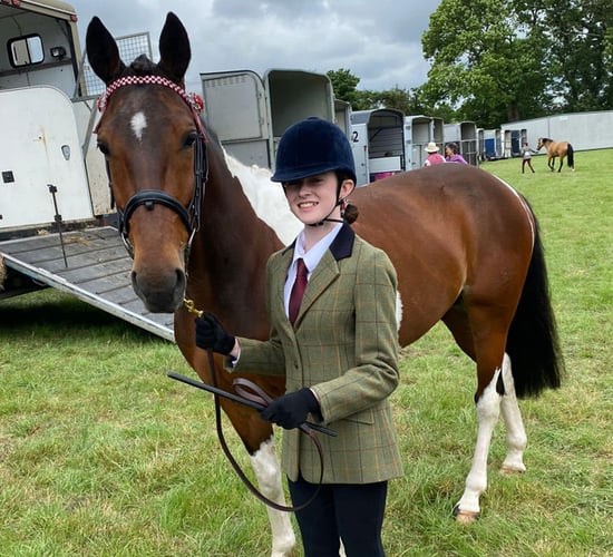 Horse rescued from kerb takes 2nd place at Cork Show