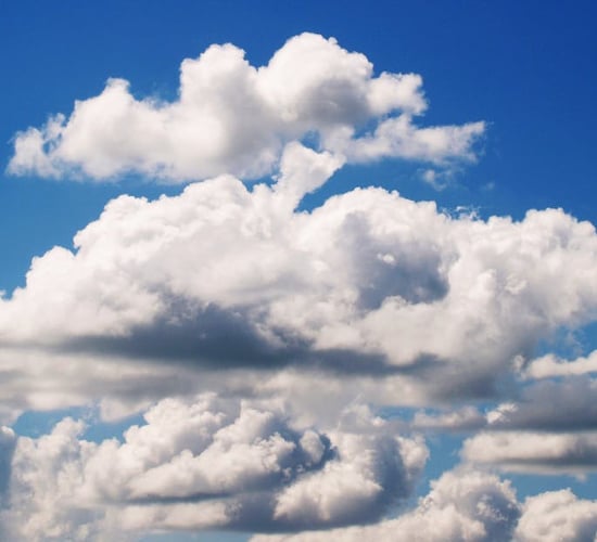 An Taisce: 'Emergency' climate measures needed