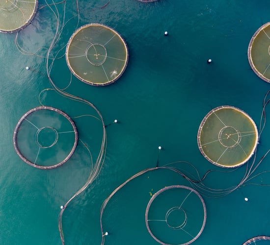New food-testing method a 'game-changer' for food supply chain