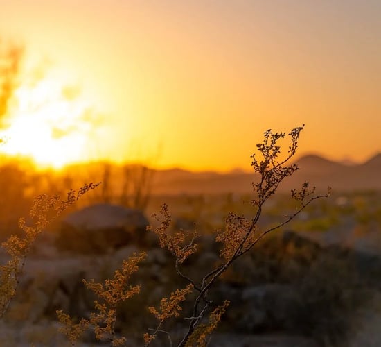 April 2024 hottest on record globally