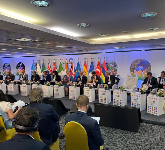 EU and G20 countries give commitment to food security