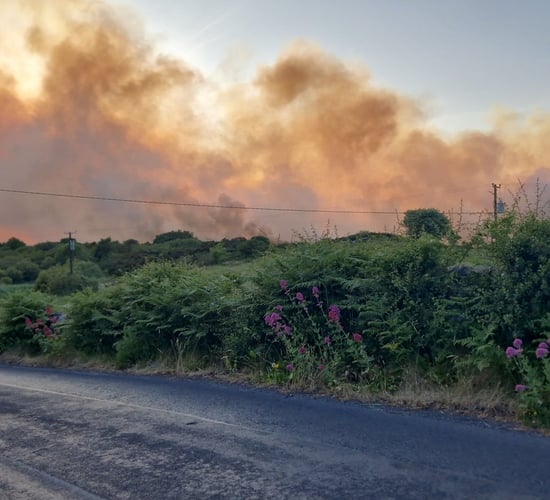 Call for awareness campaign following gorse fire in Galway