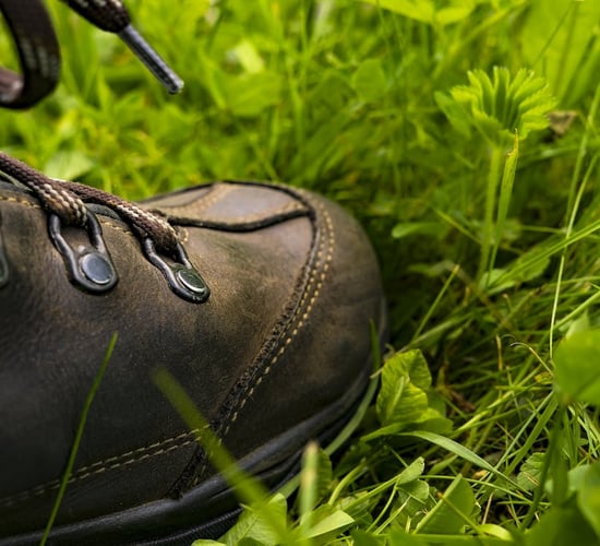 Mountain access landowners in Galway get 'engagement officer'
