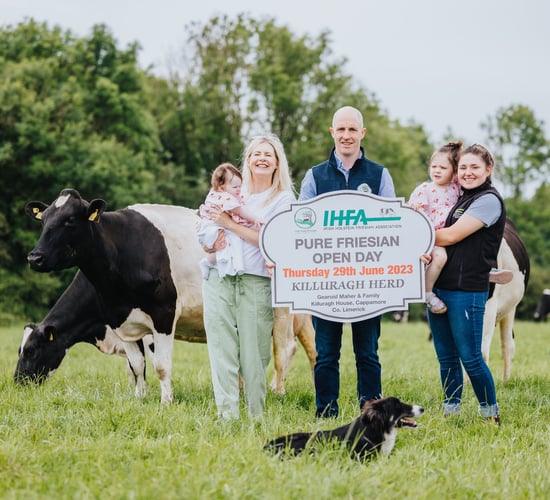 Pure Friesian Open Day to feature Limerick's Killuragh herd