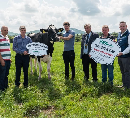 Ballyclider herd to feature in upcoming IHFA open day