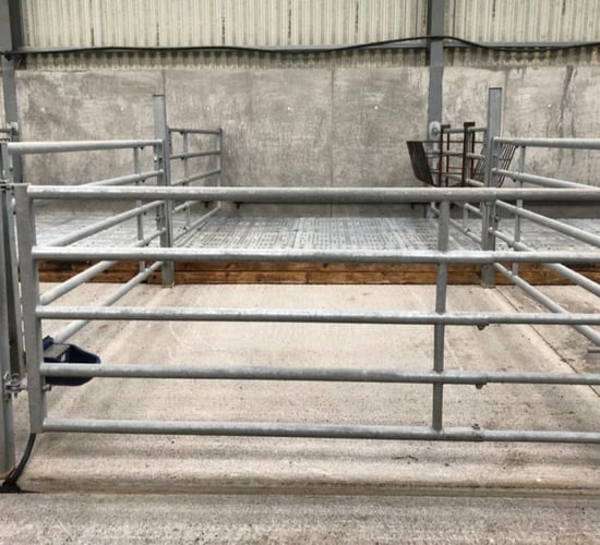 Dairy advice: Getting prepared for the calving season