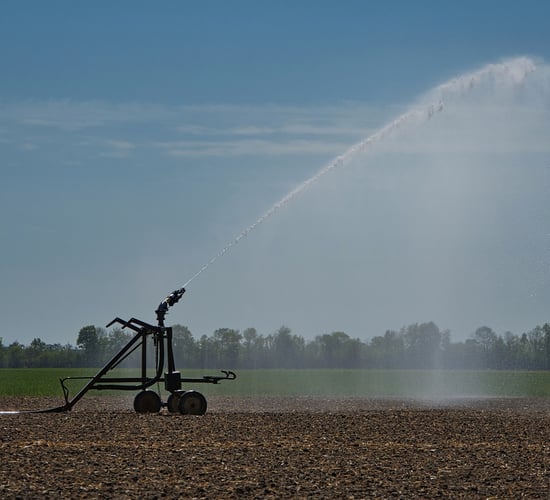 Dam breach could turn Ukraine farmland into 'deserts'