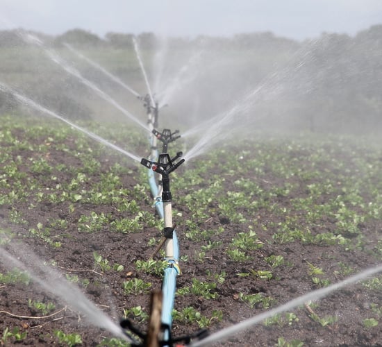Ireland yet to make final decision on reusing treated wastewater