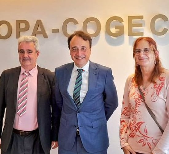 Comiskey elected vice chair on sheep at Copa-Cogeca