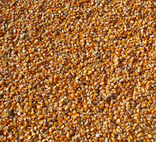 An Bord Pleanála refuses permission for grain facility in Cork