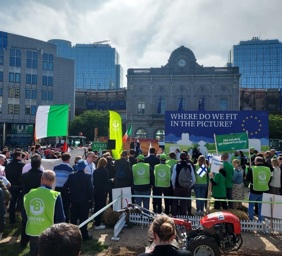 Farmers protest in Brussels over Nature Restoration Law