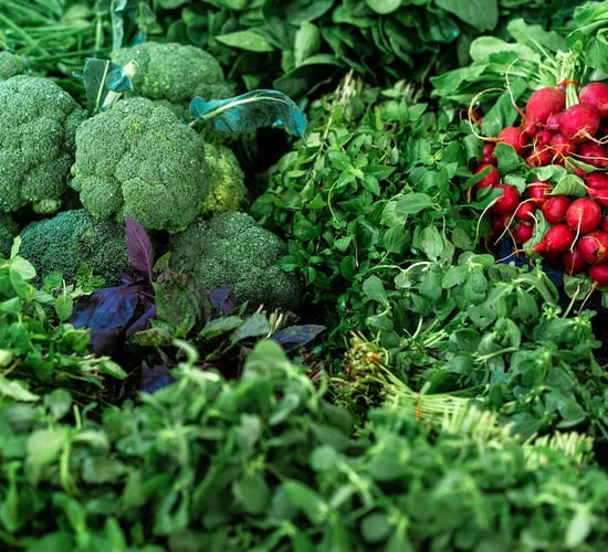 Organic Farming Scheme deadline approaching