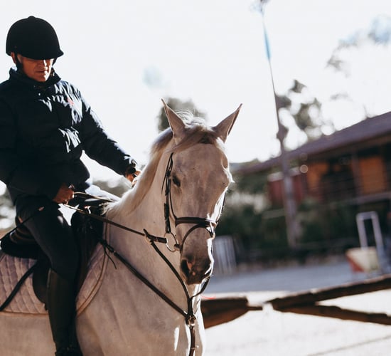 Road safety: Series of videos  to protect horse riders on roads