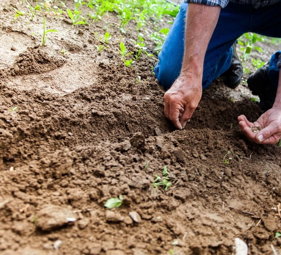 Extension granted for soil sampling and analysis programme