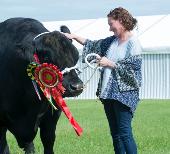 Machinery zone and vintage display to feature at Cork Summer Show