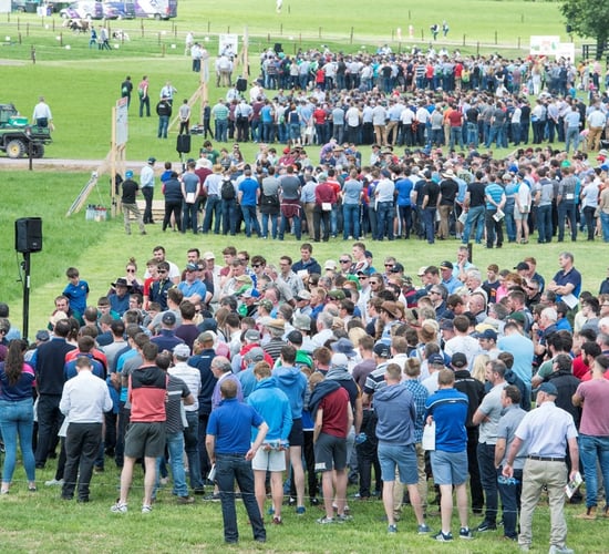 Moorepark'23: NDC offers kids chance to play with top Irish athletes