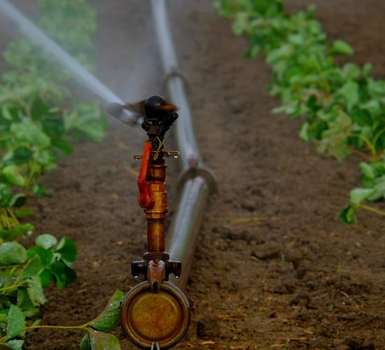 EU young farmers say new water plan lacks detail on investment