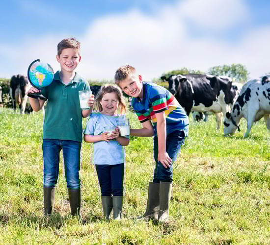 Dairy farmers in NI celebrate World Milk Day