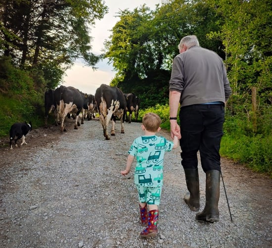 'Moment of nostalgia' claims top honours in dairy photo competition