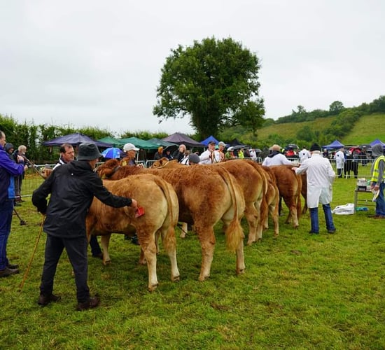 Prizes up to €6,000 at Cloone Agricultural Show