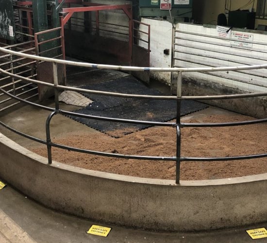 Cork Marts outlines course of action following RTÉ footage