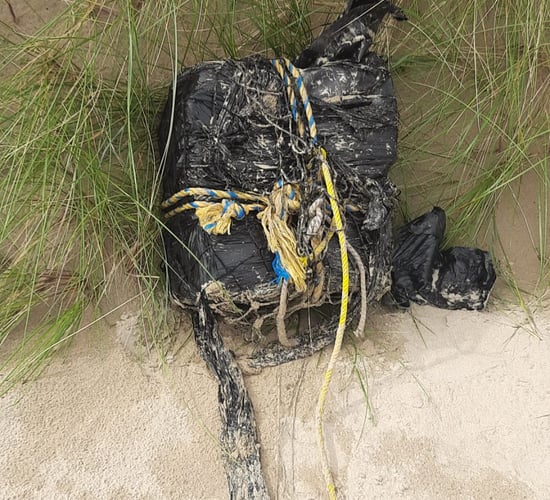 Gardaí appeal to landowners as cocaine found on Donegal coast