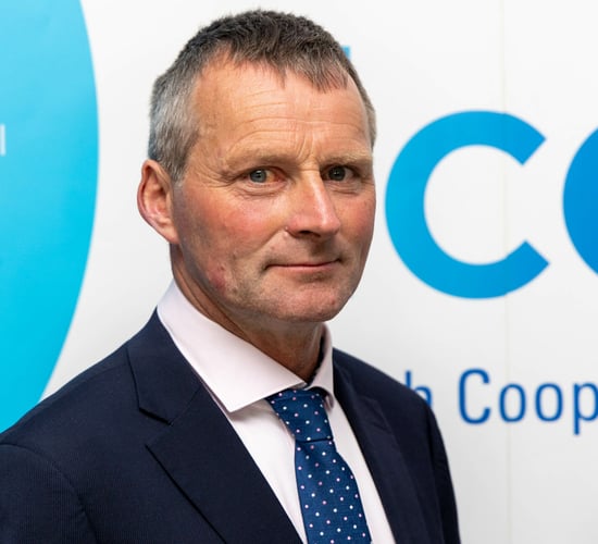 ICOS elects new president