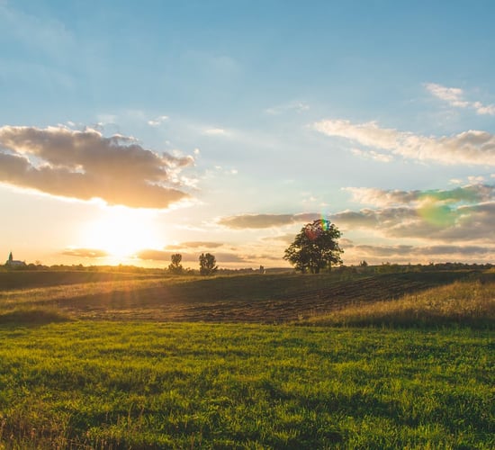 ICSA: Budget 2024 should focus on 'farm incomes'