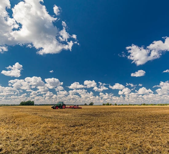 Tax Strategy Group: Ag sector has 'generous' range of tax reliefs